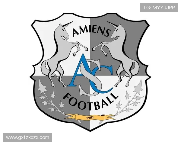 尼姆对亚眠比赛分析与推荐策略分享助你赢得竞猜胜利