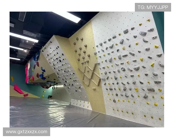 成都攀岩队心理素质排名第一最新攀岩心理素质TOP10揭晓